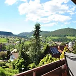 Goldener Hahn - Pool & Sauna, Fruehstueck 4*