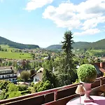 Goldener Hahn - Pool & Sauna, Fruehstueck Bed & Breakfast 4*