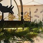 Bed & Breakfast Goldener Hahn - Pool & Sauna, Fruehstueck