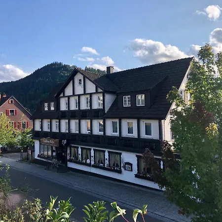 Goldener Hahn - Nahe An Gartenschau Tal X 3* Baiersbronn