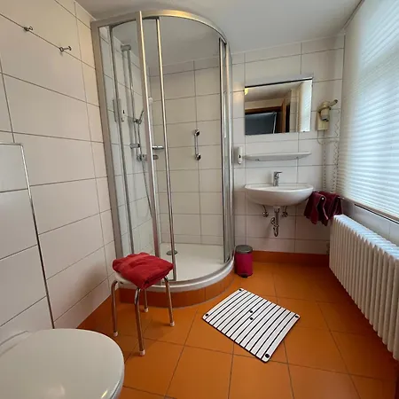 Goldener Hahn - Pool & Sauna, Fruehstueck 3* バイアースブロン