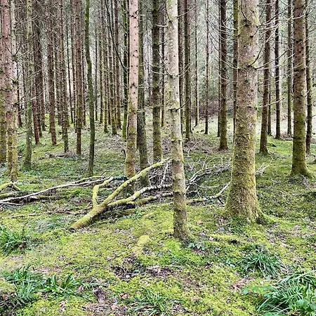Goldener Hahn - Nahe An Gartenschau Tal X 3* Baiersbronn