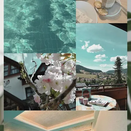 Bed & Breakfast Goldener Hahn - Nahe An Gartenschau Tal X Baiersbronn