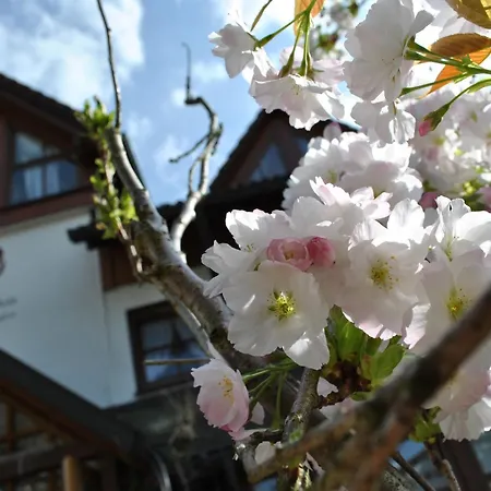Goldener Hahn - Pool & Sauna, Fruehstueck 4*