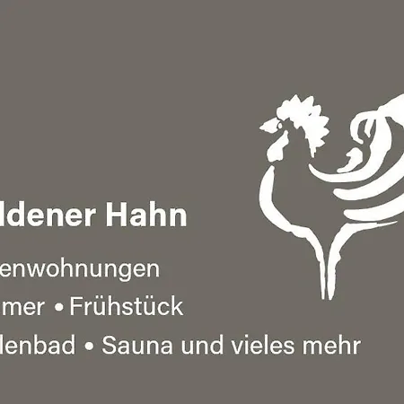 Goldener Hahn - Nahe An Gartenschau Tal X Baiersbronn