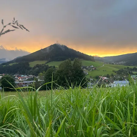 Goldener Hahn - Nahe An Gartenschau Tal X Bed & Breakfast