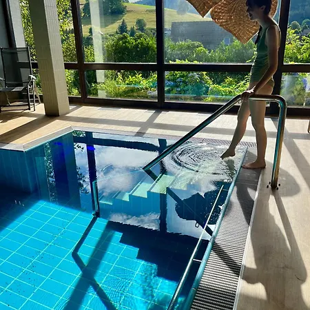 Nocleg ze śniadaniem Goldener Hahn - Pool & Sauna, Fruehstueck