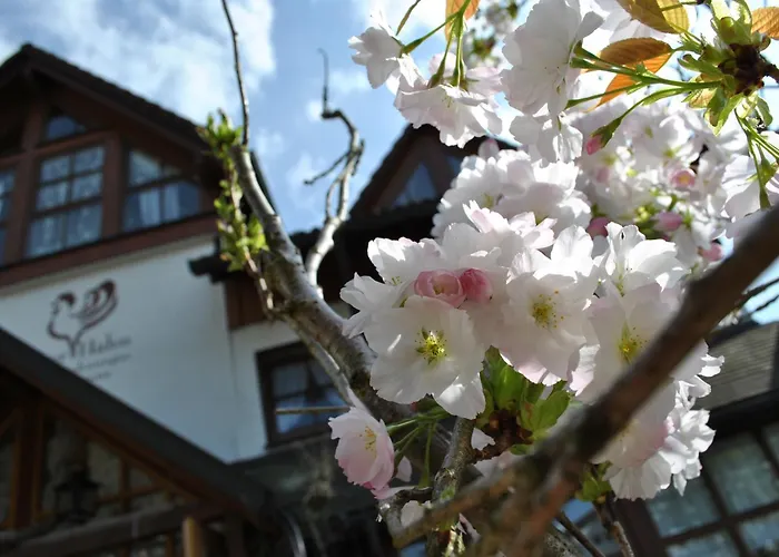 Goldener Hahn - Hygge Pool & Sauna 3*